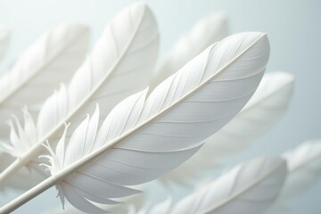 Naklejka premium Close-up shot of pristine white feathers on a seamless background , isolated, smooth, down