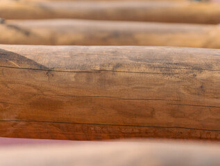 natural wooden logs are an attraction on a children's playground
