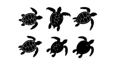 Fototapeta premium Distinct Sea Turtle Silhouettes: Exploring Unique Shell Patterns and Designs