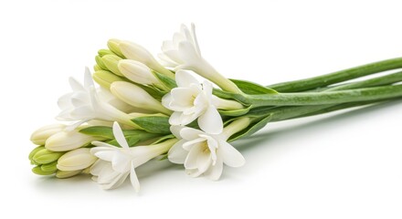 Obraz premium A bunch of tuberose flowers with white petals and green stems lying on a white surface isolated close up isolated on white background
