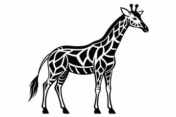 Naklejka premium Giraffe vector line art black design and white background