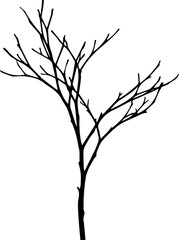 Leafless plant silhouette with sparse branches spreading out. plant, leafless, silhouette, branches, botanical, bush, woody, autumn, dry plant, wood