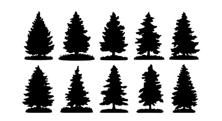 Fototapeta premium Ten Black Evergreen Tree Silhouettes: High-Quality Vector Graphics for Nature Projects