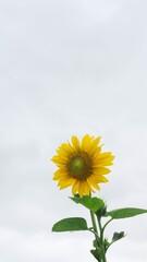 신비로운 자연이 주는 힘