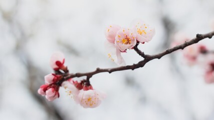 신비로운 자연이 주는 힘