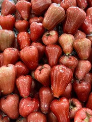 Jambu air Citra, commonly known as rose apple, water apple or bell fruit, part of Syzygium genus in...