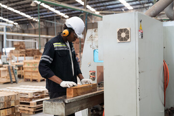 Worker processed wood in lumber factory. Warehouse and industry factory concept