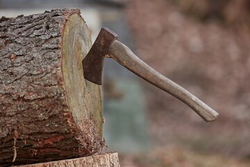Axe in a log after throwing, logging