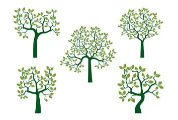 Set green Young Trees. Vector Illustration.