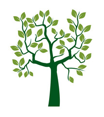 Obraz premium Shape of green Tree with Leaves and Roots. Vector outline Illustration.