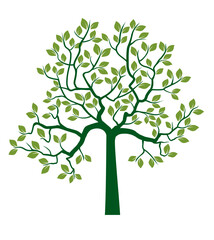 Shape of green Tree with Leaves and Roots. Vector outline Illustration.