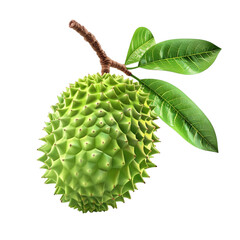 Soursop Fruit 3D Icon – Exotic Green Tropical Fruit Isolated on Transparent Background

