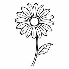 Daisy line art on white background