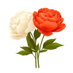 A beautiful bouquet featuring a white peony and a vibrant red peony with green leaves, showcasing elegance and natural beauty.