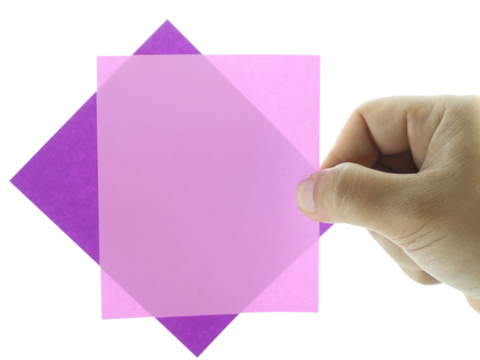 Female hand holding colorful notes isolated on white background with clipping path.