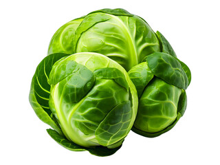 Fototapeta premium Fresh, vibrant Brussels sprouts, meticulously arranged against a clean white background. Their rich green hue and glistening texture make them ideal for culinary, health, or lifestyle content.