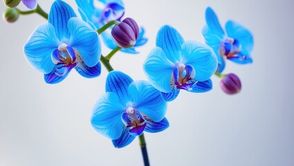 Close-up view of the center of an orchid