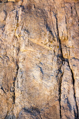 natural sea rock texture with crack. outdoor background of sandstone surface in morning light. closeup of rough stone on coast terrain. dry environment