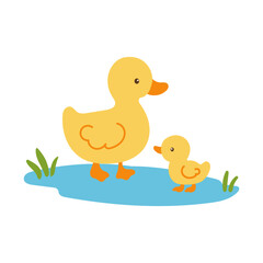 A mother duck and her baby duck are strolling together in a pond. The baby duck is closely following the mother duck, learning how to swim and navigate the water. The scene is peaceful and serene