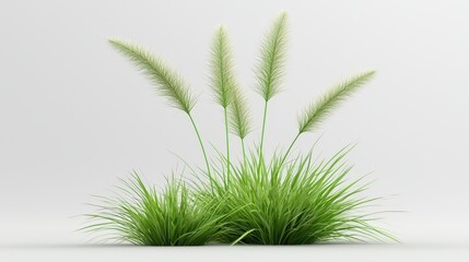 Fototapeta premium Photorealistic 3d grass plant model, ideal for architectural visualization, animation, and game development