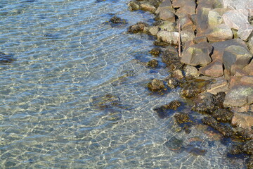 Clear Coastal Water with Rocky Shoreline and Seaweed; detailed view of crystal-clear coastal water gently lapping against a rocky shoreline; brown seaweed clings to the rocks