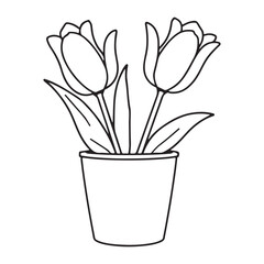 Potted Plant Outline Vector | Aloe Vera Line Art Illustration for Coloring and Design