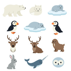 Arctic Animals Vector Set.