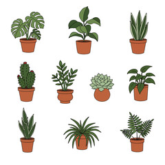 Fototapeta premium Houseplants Collection Potted Plants with Cactus, and Succulents.