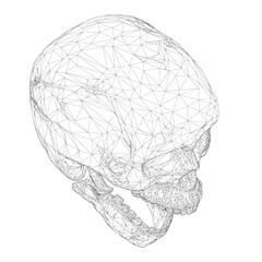 A skull is shown in a black and white image. The skull is drawn in a very detailed and intricate manner, with many lines and patterns. The image has a somewhat eerie and unsettling mood