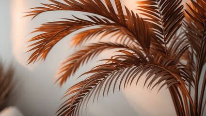 Fronds of a palm tree against a white backdrop. Autumn's warm earthy colors of brown and dark orange, reflecting colorful minimalism. Horizontal