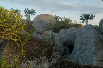 Rugged Rocky Landscape With Scattered