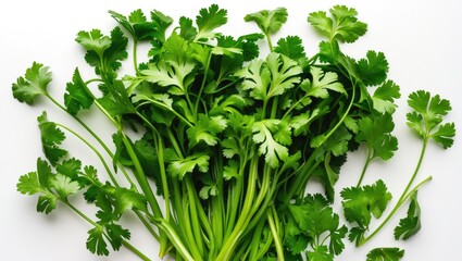 Obraz premium Coriander or cilantro leaves displayed alone against a white background.