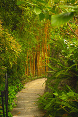 Le jardin botanique de Menton sur la cote d'azur