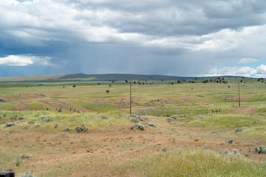 Expansive landscape with rolling green hills under a cloudy sky and scattered shrubs. Oregon, USA