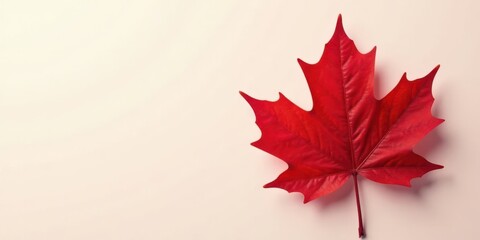 A Single Vibrant Red Maple Leaf on a Pale Background, Symbolizing Autumn's Arrival and Nature's Beauty