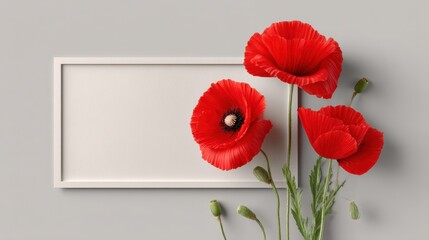 Vibrant red poppies arranged in a simple white frame representing a solemn memorial and tribute to those who have served and sacrificed for their country