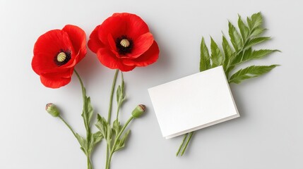 Fototapeta premium Beautifully arranged red poppy flowers with delicate leaves and stems on a clean white background creating an elegant and minimalist floral composition