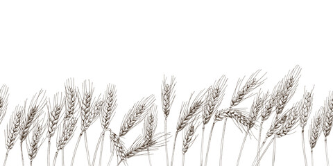 Hand drawn wheat ears seamless border © Marina Gorskaya