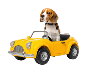 beagle dog with funny face is sitting in bright yellow toy car, exuding playful and cheerful vibe. This adorable scene captures joy of pets and their playful nature