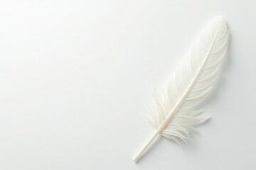 Obraz premium Delicate white feathers against pure white backdrop, cleanliness, studio, graphic