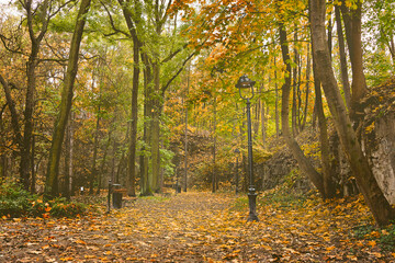 autumn park with paths strewn with yellow leaves. Landscape with autumn trees and a lantern