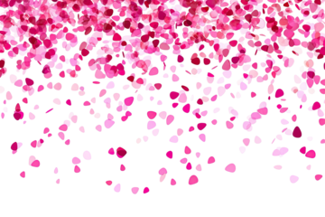 Pink Petals Falling