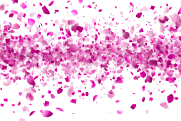 Pink Rose Petals Falling