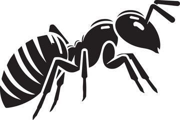 Carpenter Ant Vector | Black Ant Silhouette Clipart Illustration	