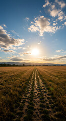 Path Through Golden Field at Sunset with Cloudy Blue Sky
