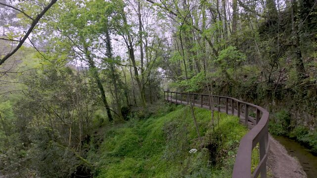 Curving wooden walkway alongside a levada winds through a lush forest in Felgueiras, with green vegetation covering the slopes under a soft daylight.