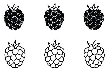 blackberry line art elegant fruit sketch with details