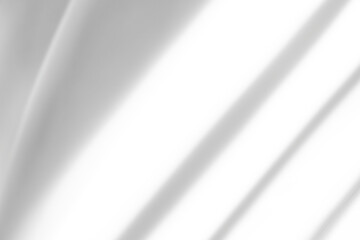 shadow overlay effects of realistic window and tree branch shadow with light blur on transparent background,Summer sunlight and shadow overlay effect