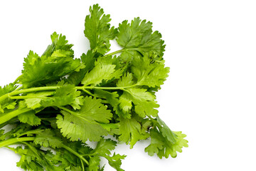 Fresh organic coriander, vegetables and herbs