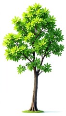Fototapeta premium Isolated tree branches against a pure white background, foliage,